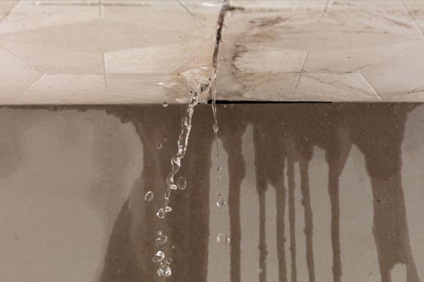 Professional Structural Drying technician working in Louviers, CO
